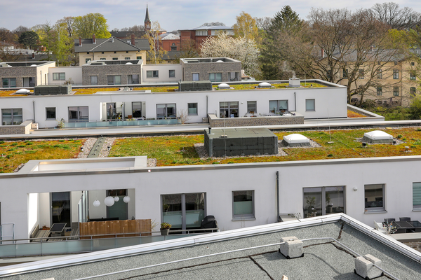 Gründächer des Neubaus Am Weißenberge | © Hafen City Universität